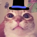 stewly Discord emoji