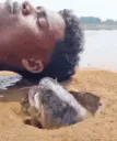 lingangguligulicatfish