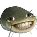 wels