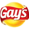 gayser