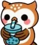02_owl_drink_water