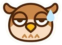 02_owl_awkward