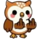 01_owl_fuckyou