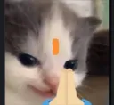 Namaste