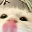 blep