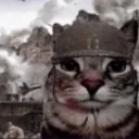 1000_yard_cat