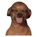 emoji_5