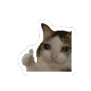 emoji_8