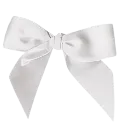 white_bow_2