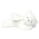 teddy_splits