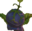 Chest_CI