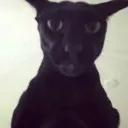 scarylarry