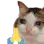 praygi