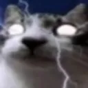 gato_deidad gato_deidad