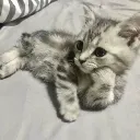 chilling