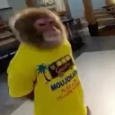 confusionsinnamonkeh