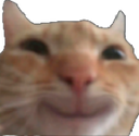 catsmile