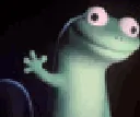 lizard