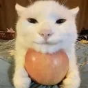 merestingonurballs merestingonurballs