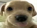 Bleh