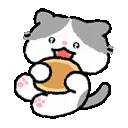catNOM catNOM