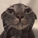 scared