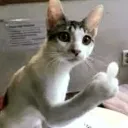 fuckyou