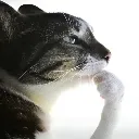 thinking thinking