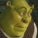 Shrek_oops