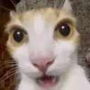 wa