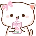 Kiwi_cutie