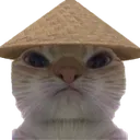 ChineseCatStare
