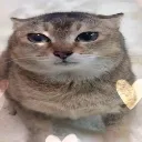 kimmyinlav