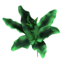 dd_darkgreenflower