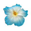 ee_cyanflower