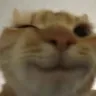 CuteeeCatWink CuteeeCatWink