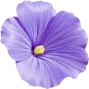 ff_lightpurpleflower