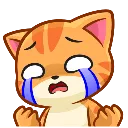 catCRY