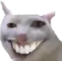 memyprotokow