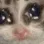 catycry