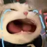catcri