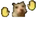 cathanddance