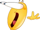 0WHAT 0WHAT