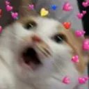 CatFear
