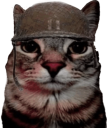 soldjacat Discord emoji