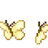 hx_butterflies
