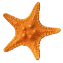 p_star