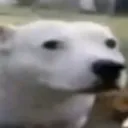huh