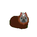 clemspinny
