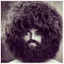 beardedbandit